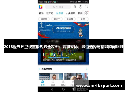 2018世界杯卫视直播观看全攻略:赛事安排、频道选择与精彩瞬间回顾 2018世界杯卫视直播观看全攻略:赛事安排、频道选择与精彩瞬间回顾