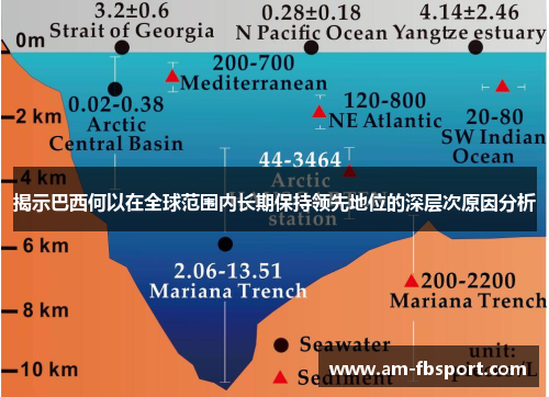 揭示巴西何以在全球范围内长期保持领先地位的深层次原因分析