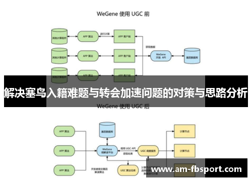解决塞鸟入籍难题与转会加速问题的对策与思路分析