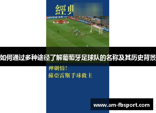 如何通过多种途径了解葡萄牙足球队的名称及其历史背景 如何通过多种途径了解葡萄牙足球队的名称及其历史背景