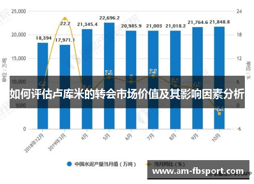 如何评估卢库米的转会市场价值及其影响因素分析