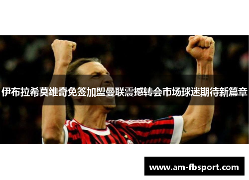伊布拉希莫维奇免签加盟曼联震撼转会市场球迷期待新篇章