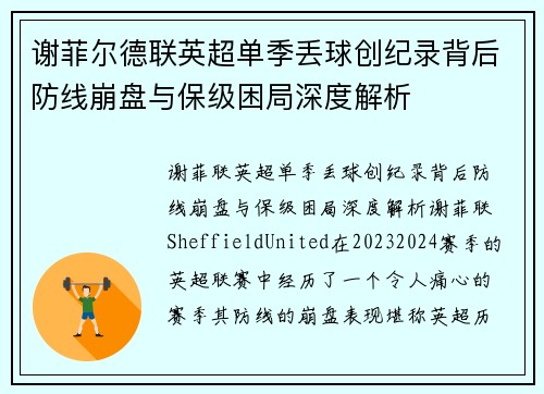 谢菲尔德联英超单季丢球创纪录背后防线崩盘与保级困局深度解析